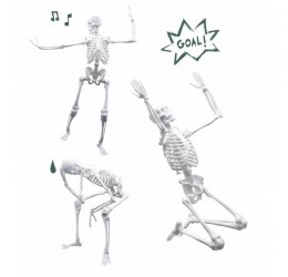 Konstruktorius "Žmogaus skeletas"