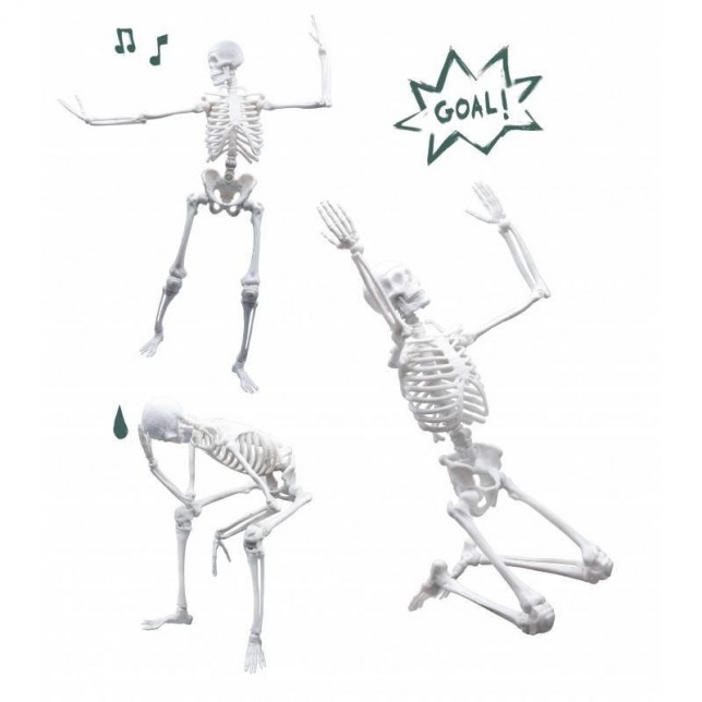 Konstruktorius "Žmogaus skeletas"