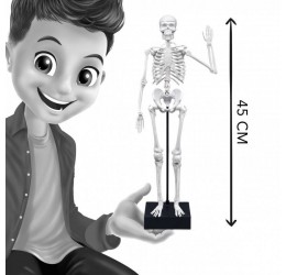 Konstruktorius "Žmogaus skeletas"