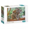 Dodo dėlionė "Koalos" 1000 detalių