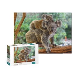 Dodo dėlionė "Koalos" 1000 detalių