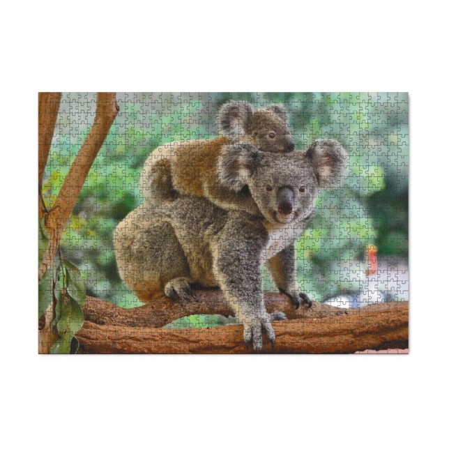 Dodo dėlionė "Koalos" 1000 detalių