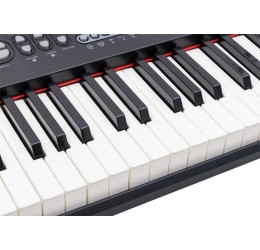Juodas vaikiškas pianinas su mikrofonu „Muzikos padangė“