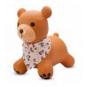 Guminis šokliukas TEDDY 52 cm