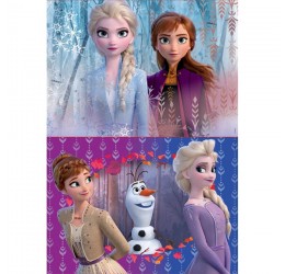 Dviejų dėlionių rinkinys 2x20 FROZEN II