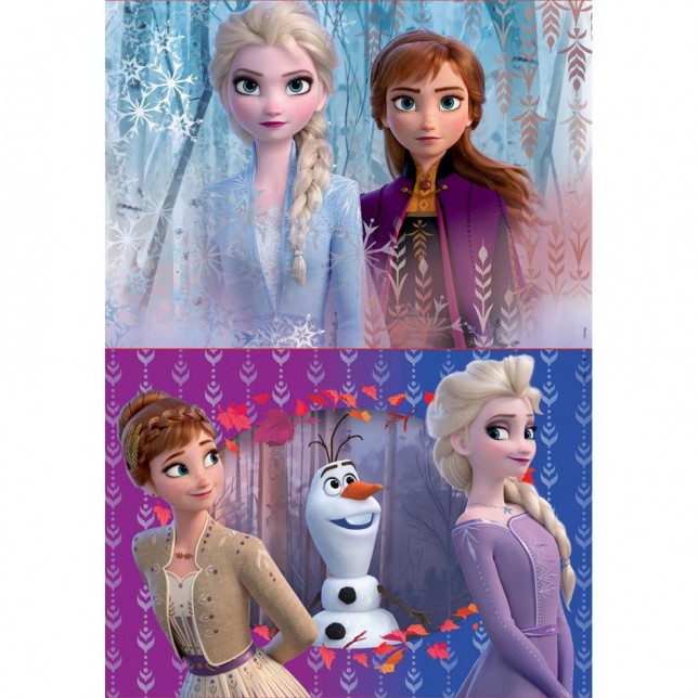 Dviejų dėlionių rinkinys 2x20 FROZEN II