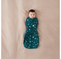 Ergopouch miegmaišis 0-3mėn. 1TOG ''Ocean''