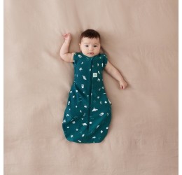 Ergopouch miegmaišis 0-3mėn. 1TOG ''Ocean''