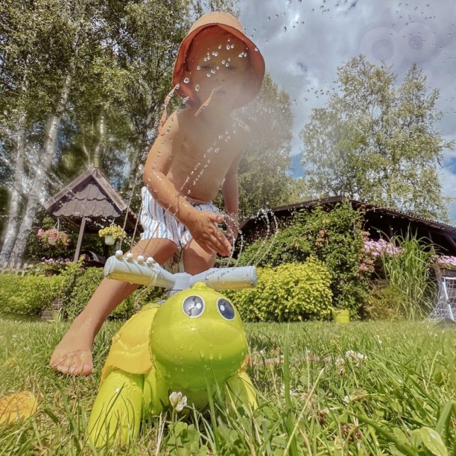 Sodo purkštuvas - fontanas ''Vėžlys''