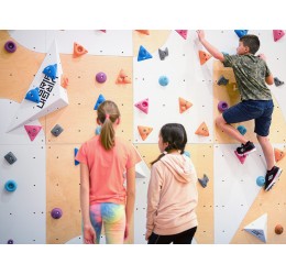 Laipiojimui skirta sienelė  - Wall ergo / 10 vnt