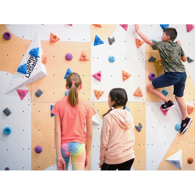Laipiojimui skirta sienelė  - Wall ergo / 10 vnt