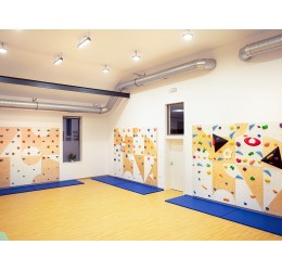 Laipiojimui skirta sienelė  - Wall ergo / 10 vnt