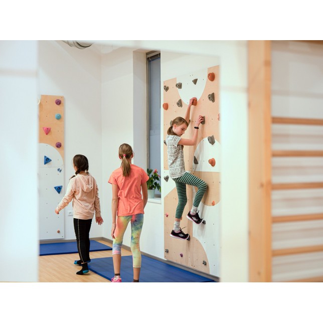 Laipiojimui skirta sienelė  - Wall ergo / 10 vnt