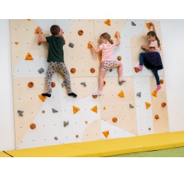 Sienelė laipiojimui - indoor wall /  8 vnt