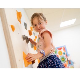 Sienelė laipiojimui - indoor wall /  8 vnt