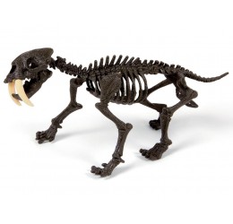 Mokslinis rinkinys - Dinozauro skeletas