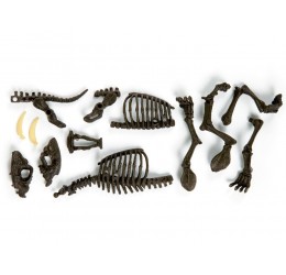 Mokslinis rinkinys - Dinozauro skeletas