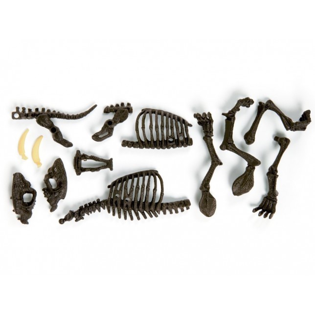 Mokslinis rinkinys - Dinozauro skeletas