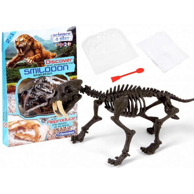 Mokslinis rinkinys - Dinozauro skeletas