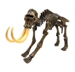 3D kasimo rinkinys - Mamuto skeletas