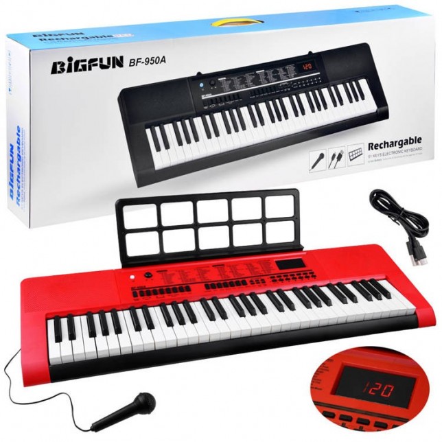 Didelis pianinas su mikrofonu