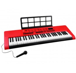 Didelis pianinas su mikrofonu
