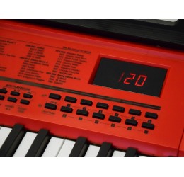 Didelis pianinas su mikrofonu