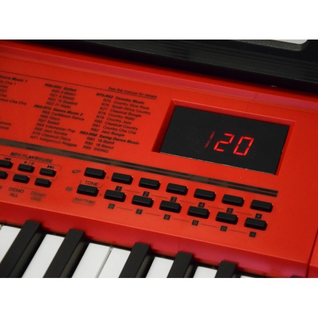 Didelis pianinas su mikrofonu