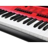 Didelis pianinas su mikrofonu