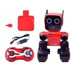 Išmanusis robotas su nuotolinio valdymo pulteliu