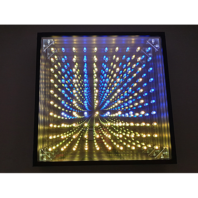 Šviesos skydelis su LED matrica 100