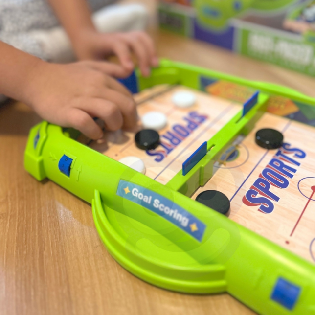 WOOPIE mini ledo ritulio ir ''pinball'' žaidimas