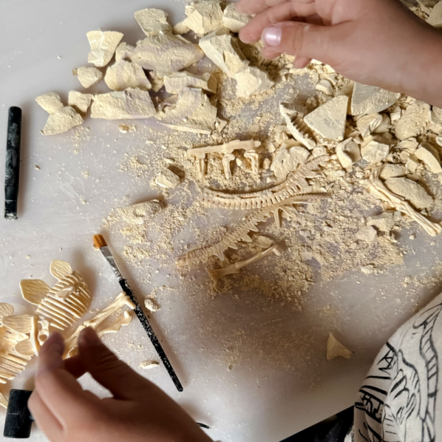 Archeologinis tyrinėjimo rinkinys - Dinozaurai