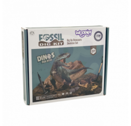 Dinozaurų kasinėjimo rinkinys, 6 vnt