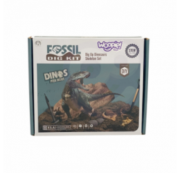 Dinozaurų kasinėjimo rinkinys, 6 vnt