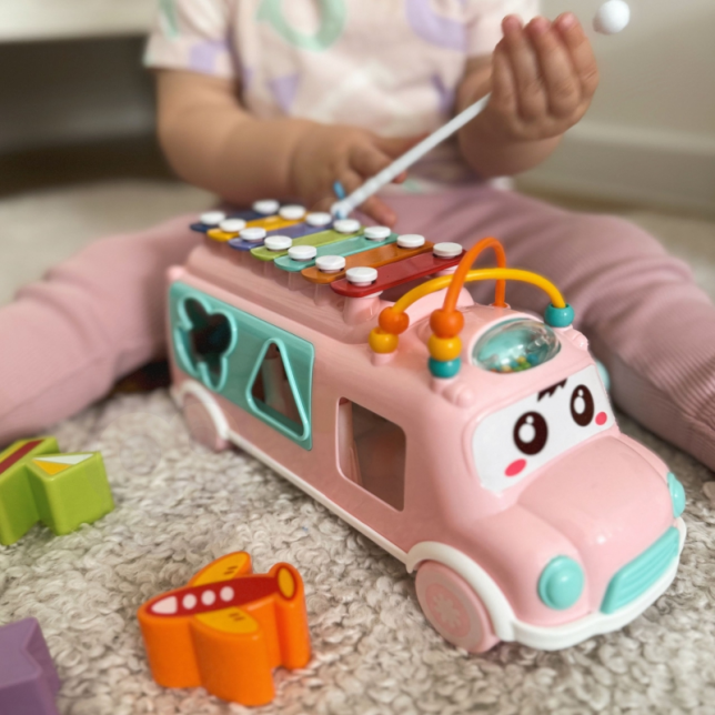 Rožinis muzikinis autobusas su priedais