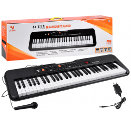 Klavišinis instrumentas SD-850 + mikrofonas