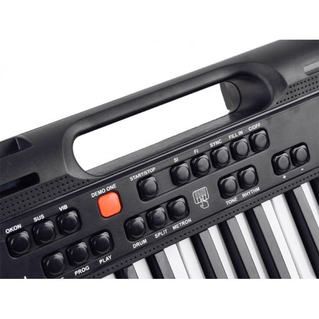 Klavišinis instrumentas SD-850 + mikrofonas