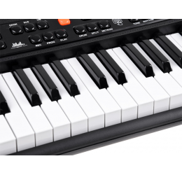 Klavišinis instrumentas SD-850 + mikrofonas