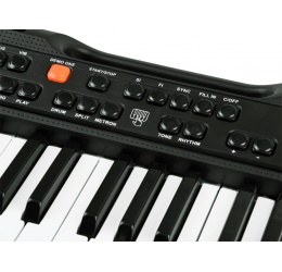 Klavišinis instrumentas SD-850 + mikrofonas