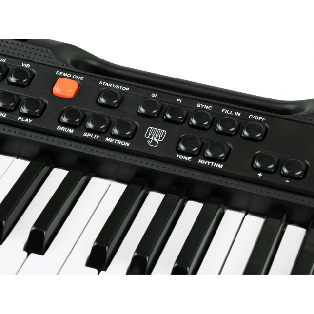 Klavišinis instrumentas SD-850 + mikrofonas
