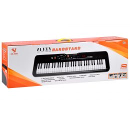 Klavišinis instrumentas SD-850 + mikrofonas