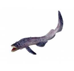 Jūros gyvūnų figūrėlių rinkinys - Octo