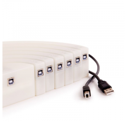 Šviečiančios arkos, 12 vnt