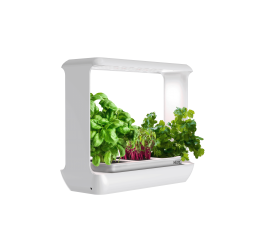 Augalų labaratorija CityCrop Micro