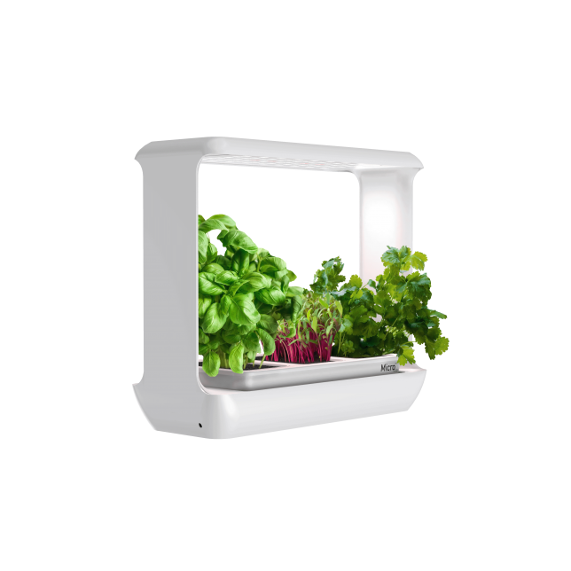 Augalų labaratorija CityCrop Micro