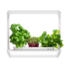 Augalų labaratorija CityCrop Micro