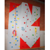 Laipiojimo sienelė mokykloms - Boulderwall