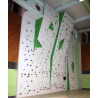 Laipiojimo sienelė mokykloms - Boulderwall