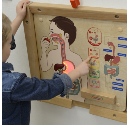 Masterkidz edukacinė lenta - Virškinimo sistema